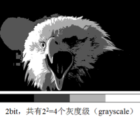 LEHU乐虎国际显微镜