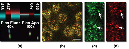 confocalaberrations_Figure1.png