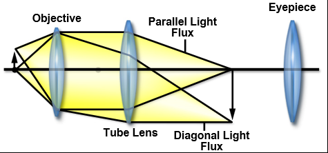 nikoncfioptics-figure_3.png