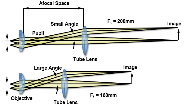 nikoncfioptics-figure_5.png