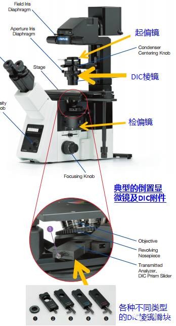 LEHU乐虎国际显微镜