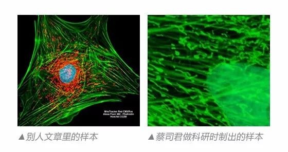 LEHU乐虎国际显微镜