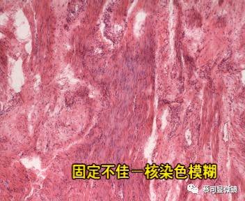 LEHU乐虎国际显微镜
