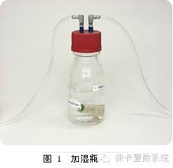 LEHU乐虎国际显微镜