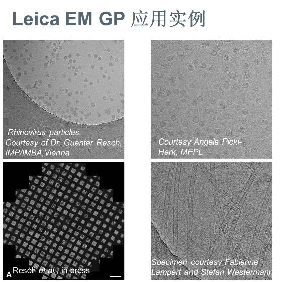 LEHU乐虎国际显微镜