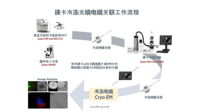 LEHU乐虎国际显微镜