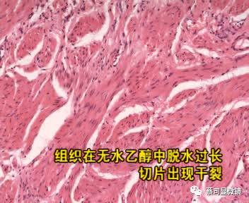 LEHU乐虎国际显微镜