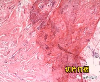 LEHU乐虎国际显微镜