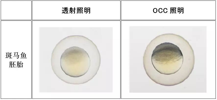 LEHU乐虎国际显微镜