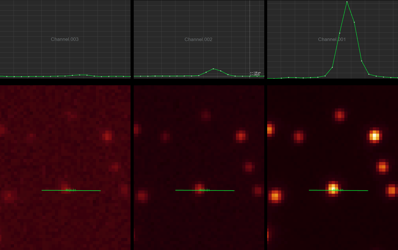 LEHU乐虎国际显微镜|LEHU乐虎国际生物显微镜|LEHU乐虎国际金相显微镜|LEHU乐虎国际倒置显微镜|OLYMPUS显微镜|上海普赫光电科技有限公司官网