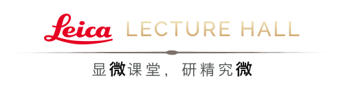 LEHU乐虎国际显微镜 LEHU乐虎国际显微镜