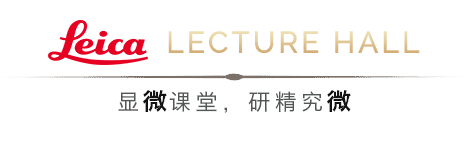 LEHU乐虎国际显微镜