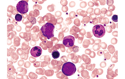 尼康DS-Fi3彩色显微相机