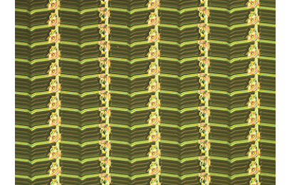 尼康DS-Fi3彩色显微相机