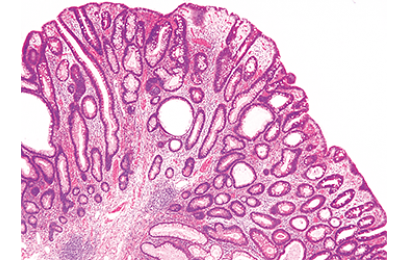 尼康DS-Fi3彩色显微相机