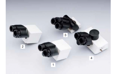 LEHU乐虎国际GX53倒置金相显微镜